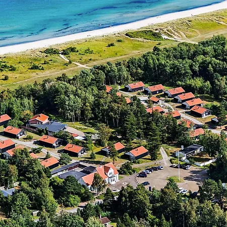 Vaeggerlose Cvi *